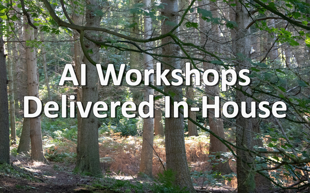 Inhouse AI Workshops