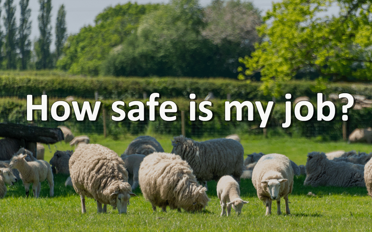 How Safe is My Job?