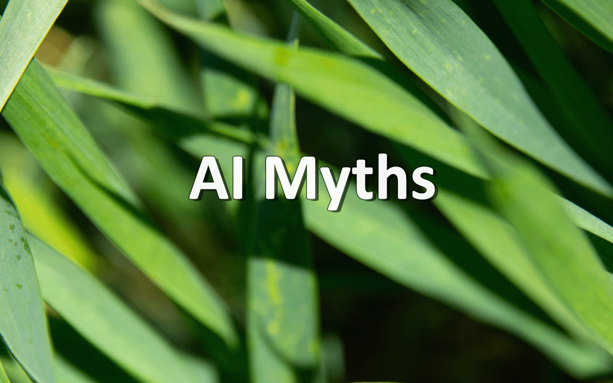 AI Myths