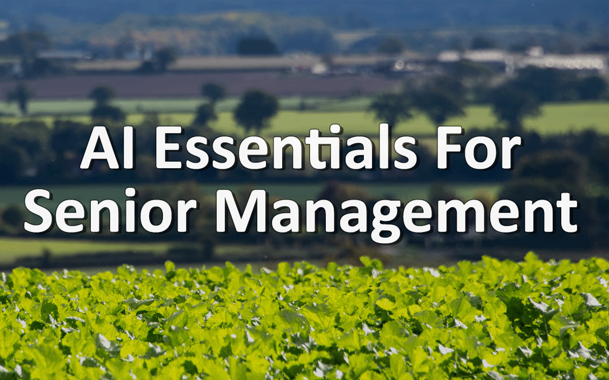 AI for Senior Management