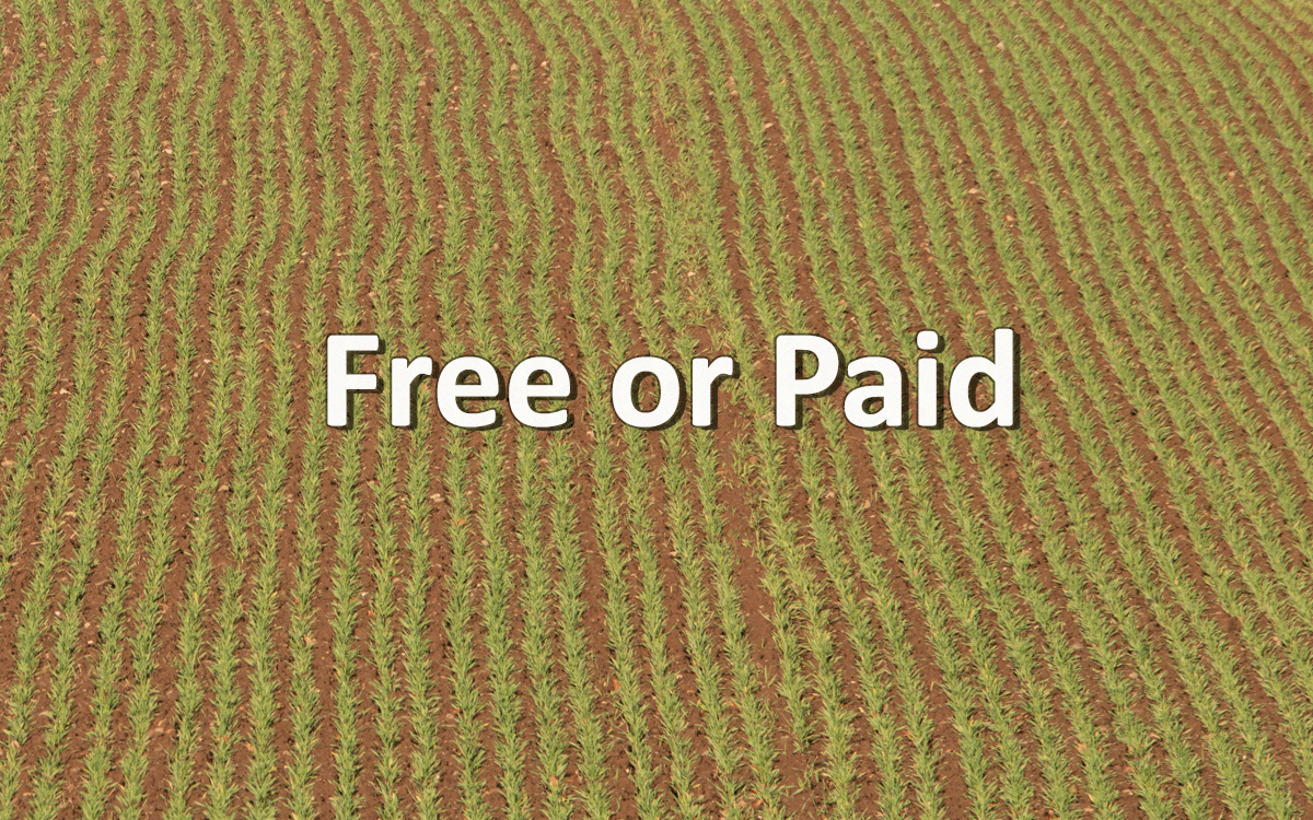 Choosing Free vs Paid AI