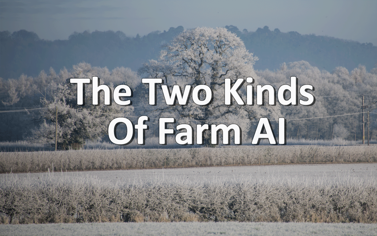 Kinds of AI