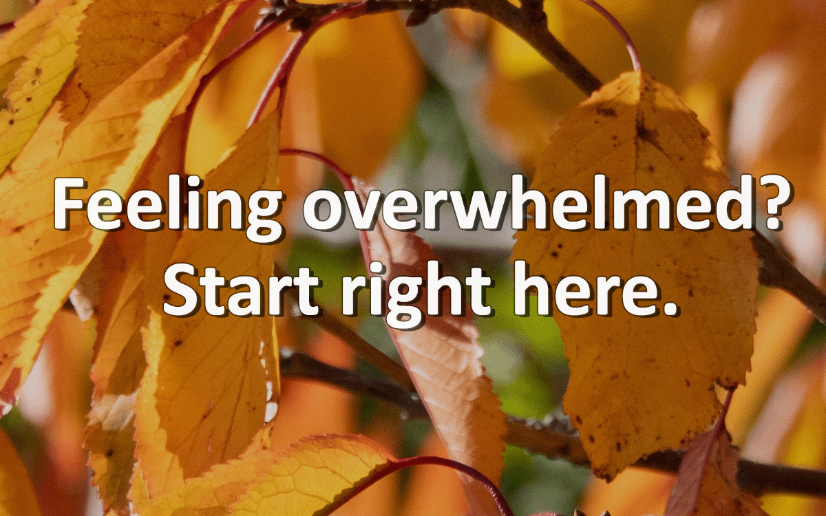 Overwhelmed by AI?