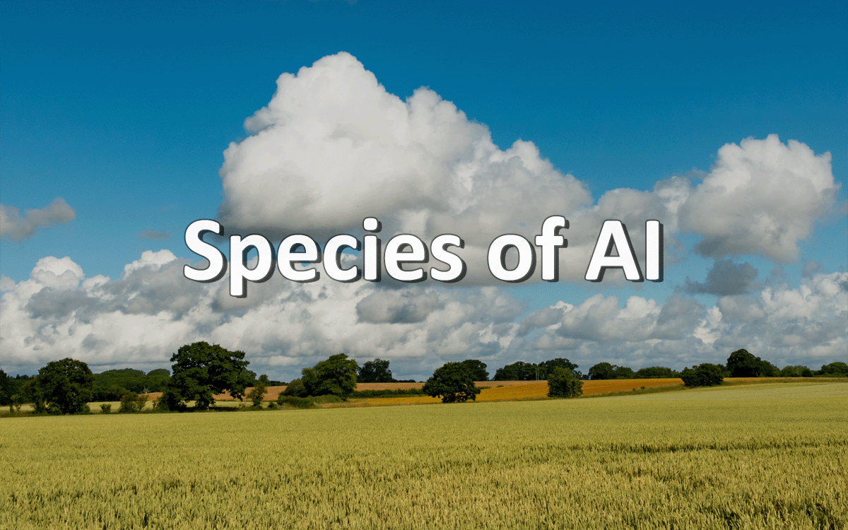 Basic Kinds AI Explained